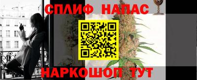шишки Кинель