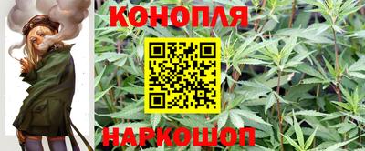 мдма Кингисепп