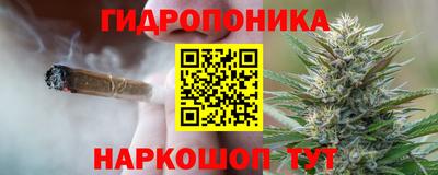 шишки Кинель