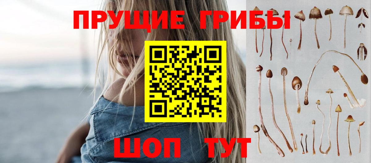 сколько стоит  Вход с VPN  Ярославль  Галлюциногенные грибы Cubensis  Галлюциногенные грибы ЛСД 